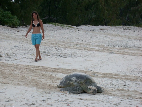Claudia & Loggerhead Turtle